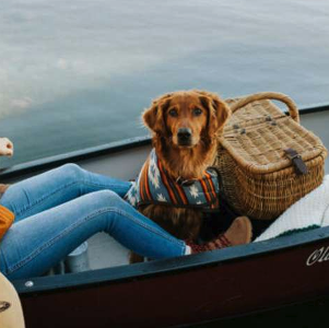 dog on canoe with picnic basket 